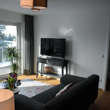 Ferienwohnung Bodenseeblick Nr 8 公寓 沙伊代格